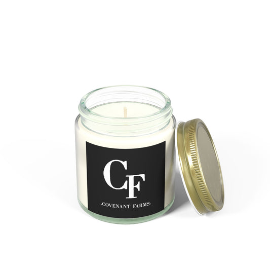 Scented Candles, Coconut Apricot Wax (4oz, 9oz)